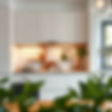 Sleek Minimalist Kitchen Storage Sleek minimalist kitchen storage solutions