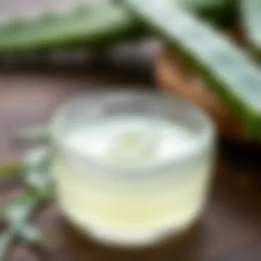 Aloe vera gel in a clear bowl
