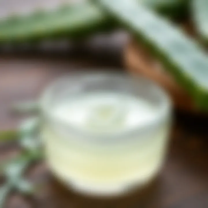 Aloe vera gel in a clear bowl