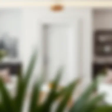 Elegant white American door in a modern interior