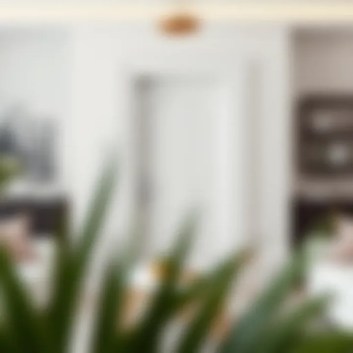 Elegant white American door in a modern interior