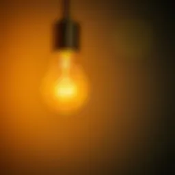 An energy-efficient light bulb emitting a warm glow