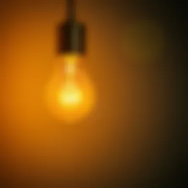 An energy-efficient light bulb emitting a warm glow
