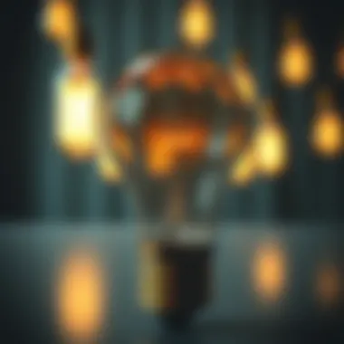 A detailed infographic on types of light bulbs and their recyclability