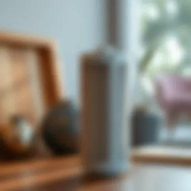 Restored Carbon Filter Clean carbon filter ready for installation