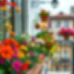 A vibrant balcony garden filled with blooming flowers