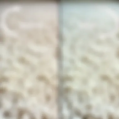 Transformation of a White Carpet Before and after comparison of a cleaned carpet