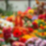 A vibrant garden showcasing various seasonal plants