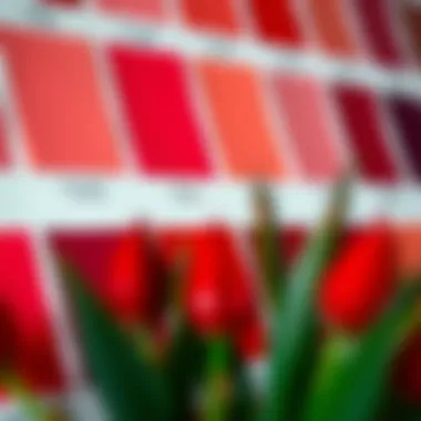 A color palette demonstrating various shades of red.