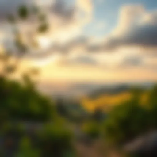 Inspiring landscape photograph for drawing reference