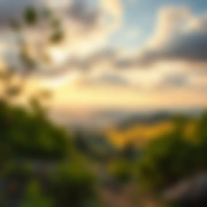 Captivating Landscape for Artistic Reference Inspiring landscape photograph for drawing reference