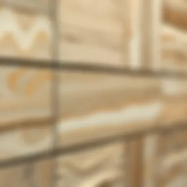 Close-up of wall tiles showcasing texture and design