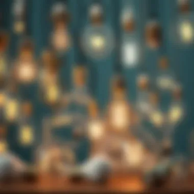 A variety of light bulbs showcasing energy efficiency