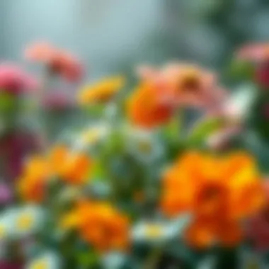 Watering techniques for optimal plant health