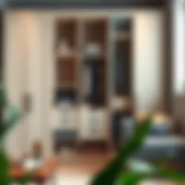 Sophisticated wardrobe with innovative storage solutions