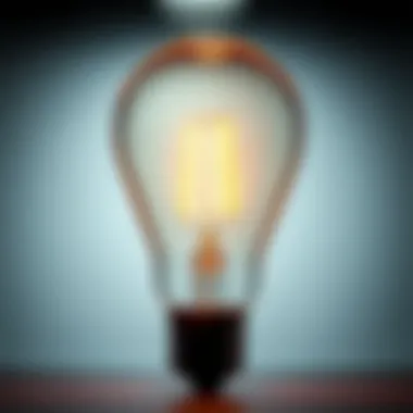 Comparison between traditional incandescent bulb and LED filament bulb