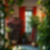 Exploring Diverse Indoor Tree Varieties Indoor tree varieties showcasing rich foliage