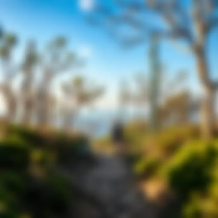 A picturesque view of a hiking trail in the Istanbul countryside