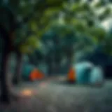 Serene camping site near Istanbul with tents under trees