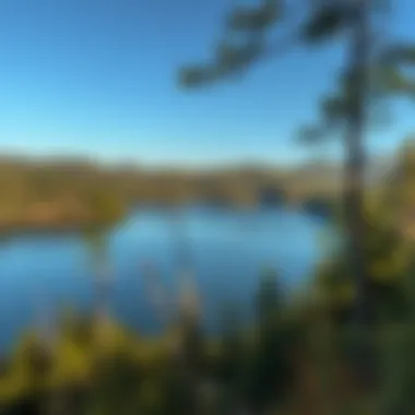 Scenic view of a lake surrounded by a forest in Istanbul's vicinity