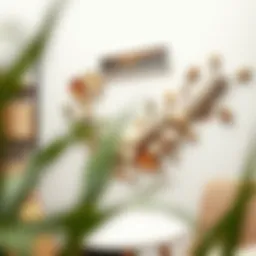 Creative wall decoration using natural materials