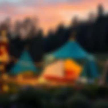 Exploring Different Tent Options Diverse Tent Types for Kids