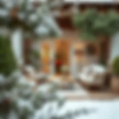 Elegant Winter Garden with Modern Furniture Elegant winter garden featuring a mix of modern furniture and greenery