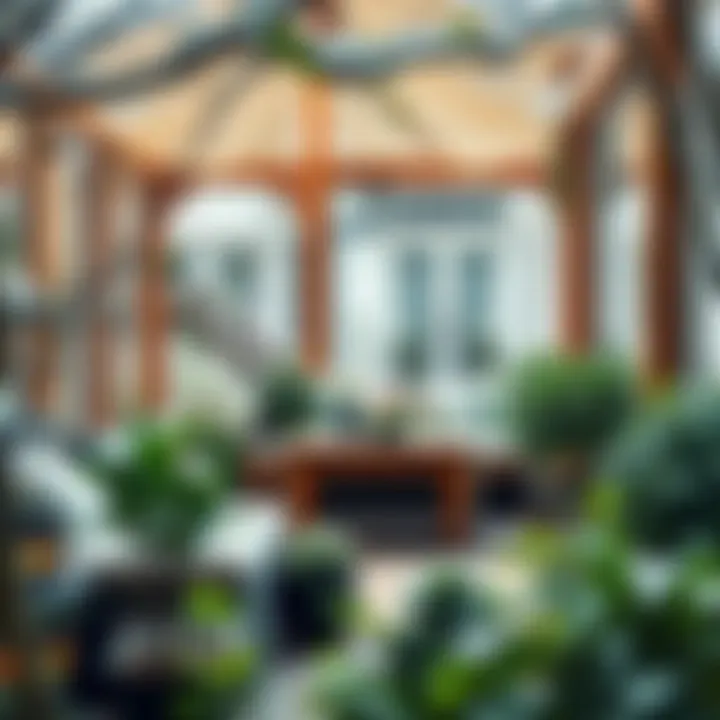 Functional Winter Garden for Relaxation Functional winter garden designed for relaxation and enjoyment