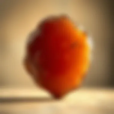 A detailed view of a SCOBY, the culture used in kombucha fermentation