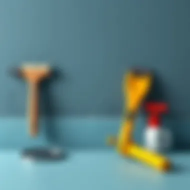 Tools and equipment necessary for painting walls