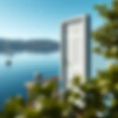 Elegant finish on a painted lake door