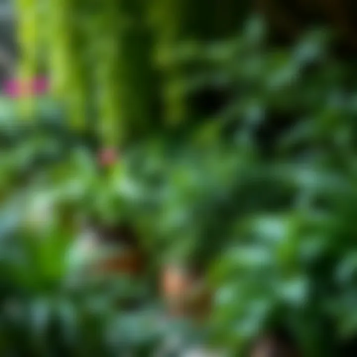 Lush greenery creating a serene atmosphere