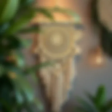 Artistic macrame wall hanging display