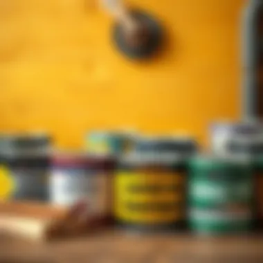 Selection of Varnish Types A variety of varnish types displayed for selection