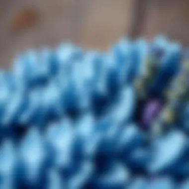 Nature's elements showcasing different shades of blue