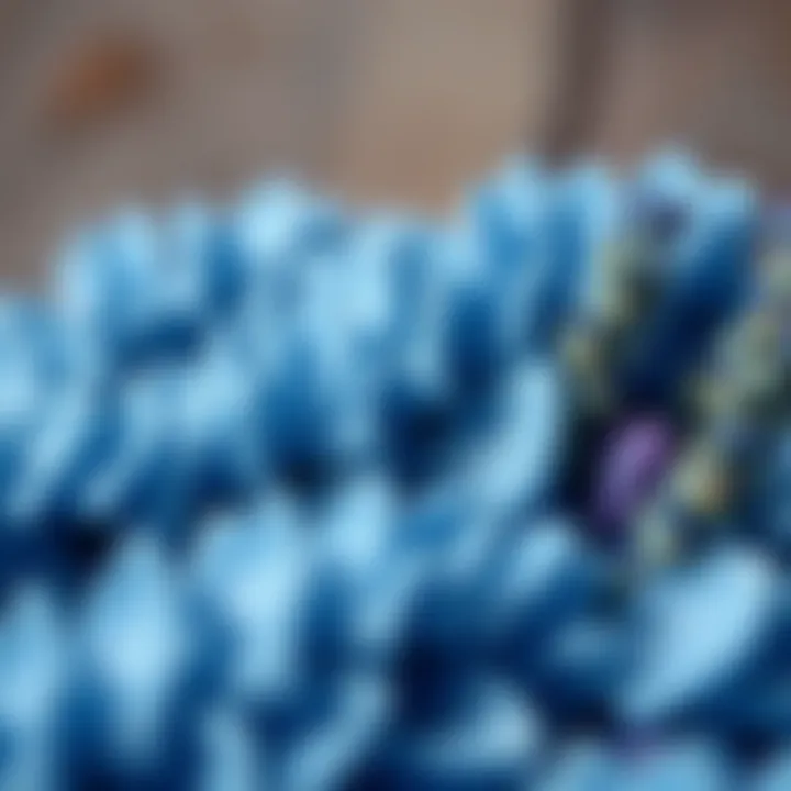 Nature's elements showcasing different shades of blue