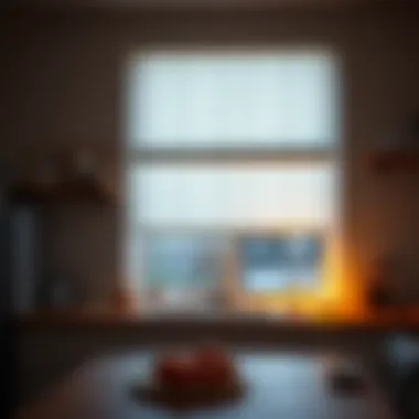 Light-filtering roller blind creating a cozy kitchen atmosphere