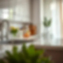 A sparkling clean kitchen countertop with natural cleaning products