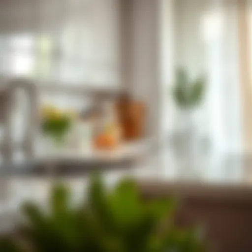 A sparkling clean kitchen countertop with natural cleaning products