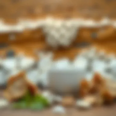 Natural Solutions to Prevent Mold Natural remedies for preventing mold growth