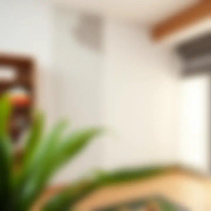 Before and after wall cleaning