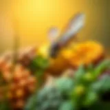 Natural insect repellent ingredients