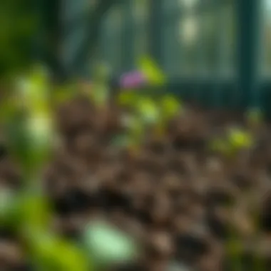 Close-up of soil preparation for planting in September.