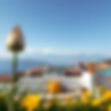 A serene landscape emphasizing calmness through color