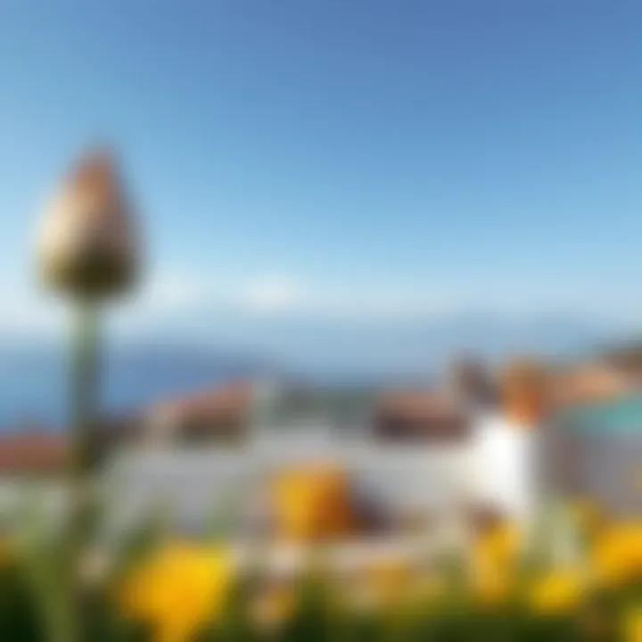 A serene landscape emphasizing calmness through color