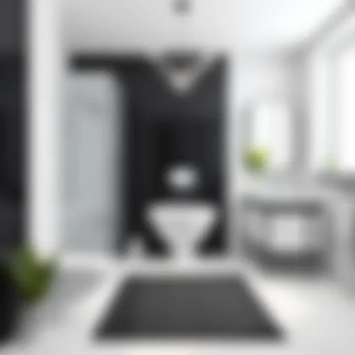 Elegant black and white bathroom with stylish mat