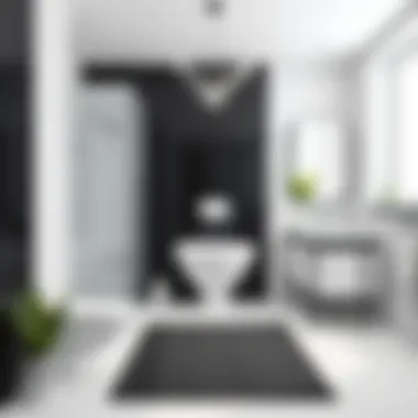 Stylish Black and White Bathroom Elegant black and white bathroom with stylish mat