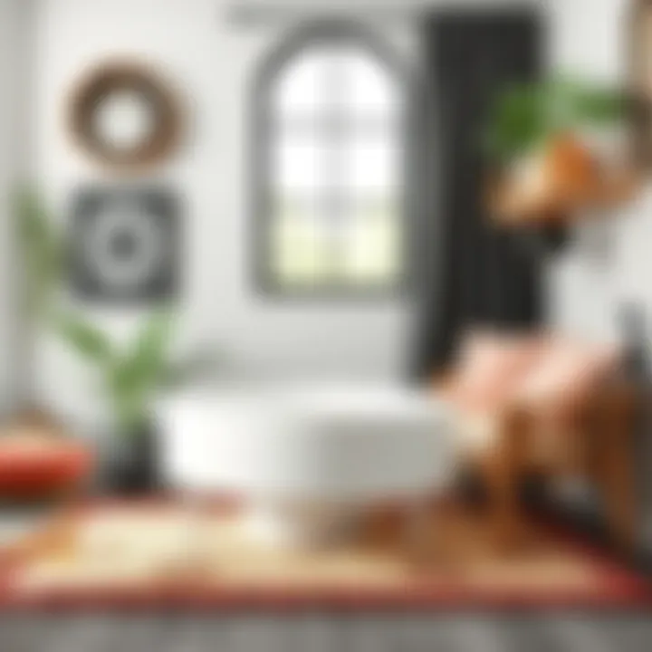 Colorful Mat Options Colorful mat options for black and white decor