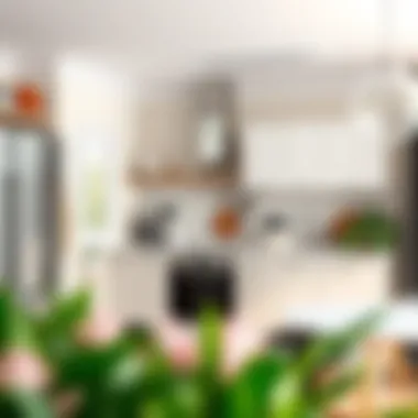 Maximizing functionality in limited kitchen space