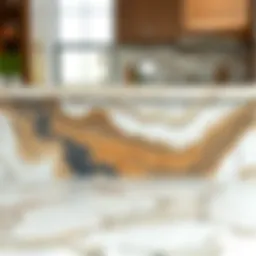 Selection of various countertop marble types showcasing their unique textures and colors